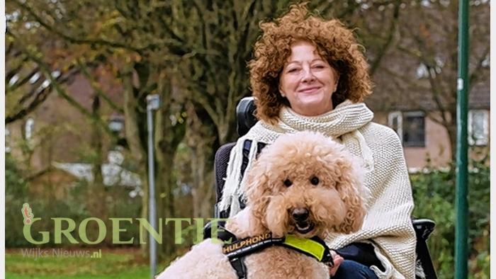 Wegversperring excelleren Stadium De Hond Kan de Was Doen' genomineerd voor De Gouden Venus van Milo |  Stichting De hond kan de was doen